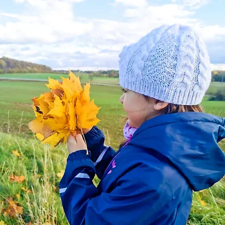 Апартаменты Loewenstern *