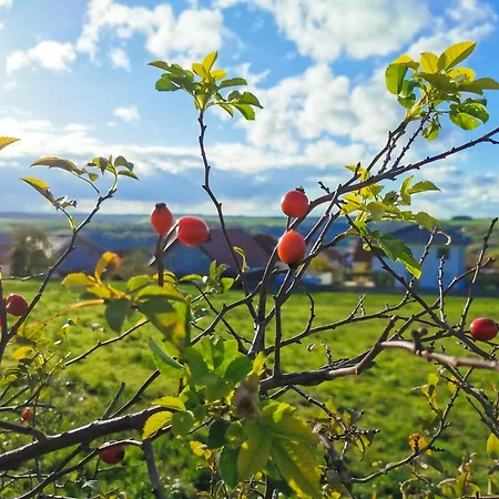 Loewenstern * Niederstetten