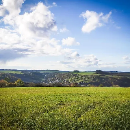 Апартаменты Loewenstern Niederstetten