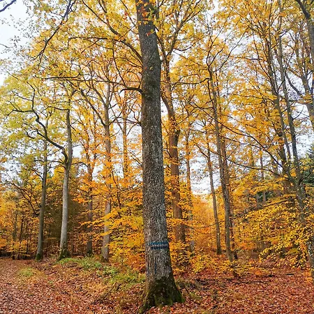 Loewenstern Апартаменты Niederstetten