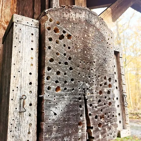 Loewenstern * Niederstetten